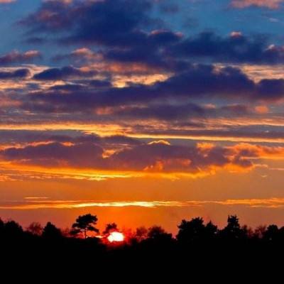 尊龙人生就是博登录截图